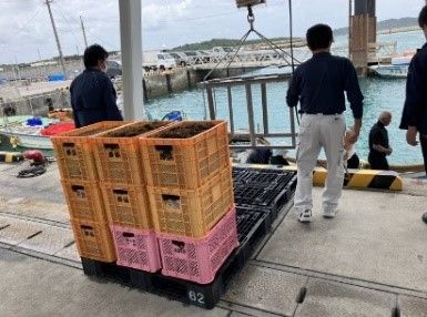 TOPPANデジタル 漁業DXソリューションの実証実験を開始、沖縄県うるま市のモズク生産をDXで支援