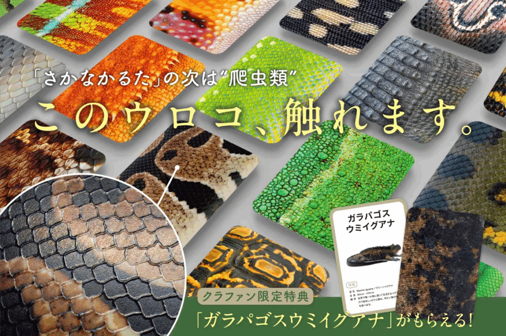 千葉印刷　「さかなかるた」シリーズの新作「爬虫類かるた」クラウドファンディングで先行発売　厚盛り印刷でウロコの感触を再現